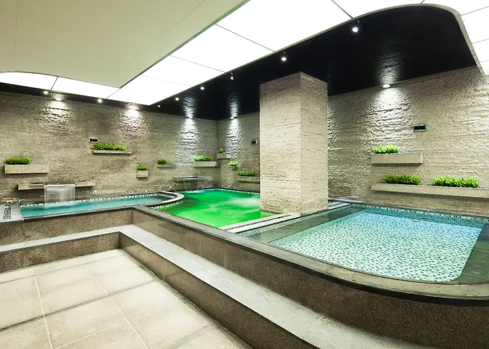 Hotel Ibis Styles Ambassador Gangnam 3*