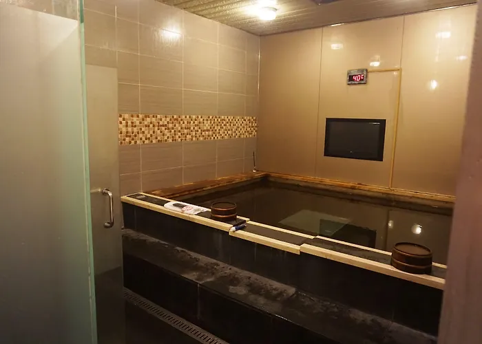 Ibis Styles Ambassador Gangnam 3* Seul